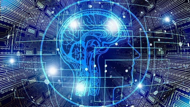 Capacity & Performance Optimization